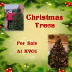 Christmas Trees at RVCC!