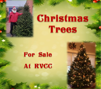 Christmas Trees for sale!