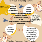 Puppy Preschool-with Virginia Company Dog Training