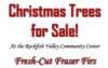 Christmas Tree Sale!