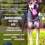 Reactivity Training--Virginia Company Dog Training